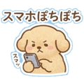 884834331