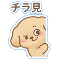 884834344