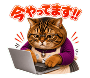 884836885