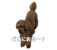 884840393