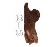 884840397