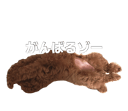 884840406