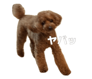 884840408