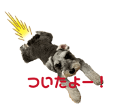 884841203