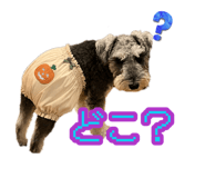 884841206