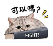 884845919