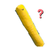 884853892