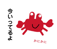 884855260