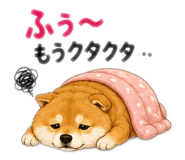 884855693