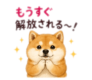 884855701