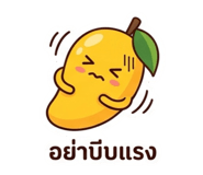884858955