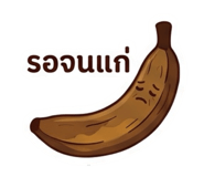 884858961