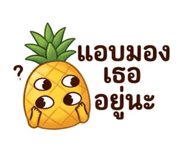 884858975