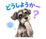 884859974