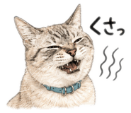 884863330
