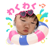 884866646