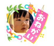 884866647