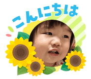 884866656