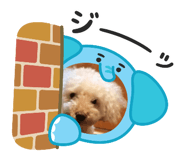 884868061