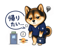 884877974