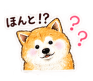 884878394