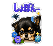 884883985