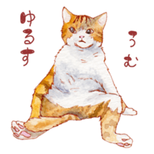 8848886