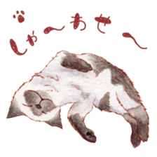 8848891