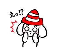 884894256