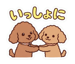 884896354
