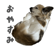 884900113