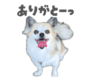 884900118