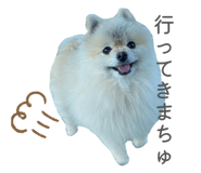 884908881