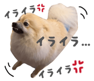 884908887