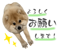 884908888