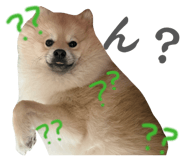 884908889