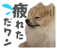 884908896
