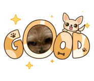 884909804