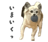 884914148