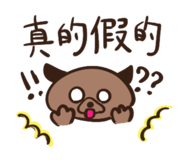 884920374