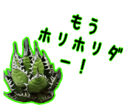 884936797