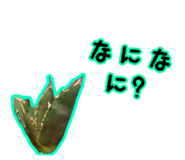 884936798