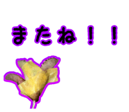 884936800