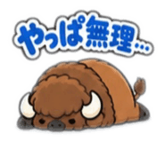 884936914