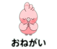 884942994