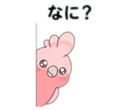 884942997