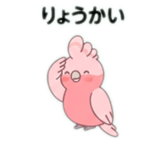 884942998