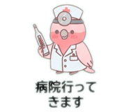 884943004