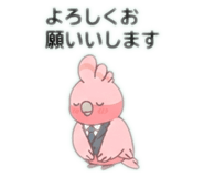 884943009