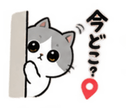 884943735